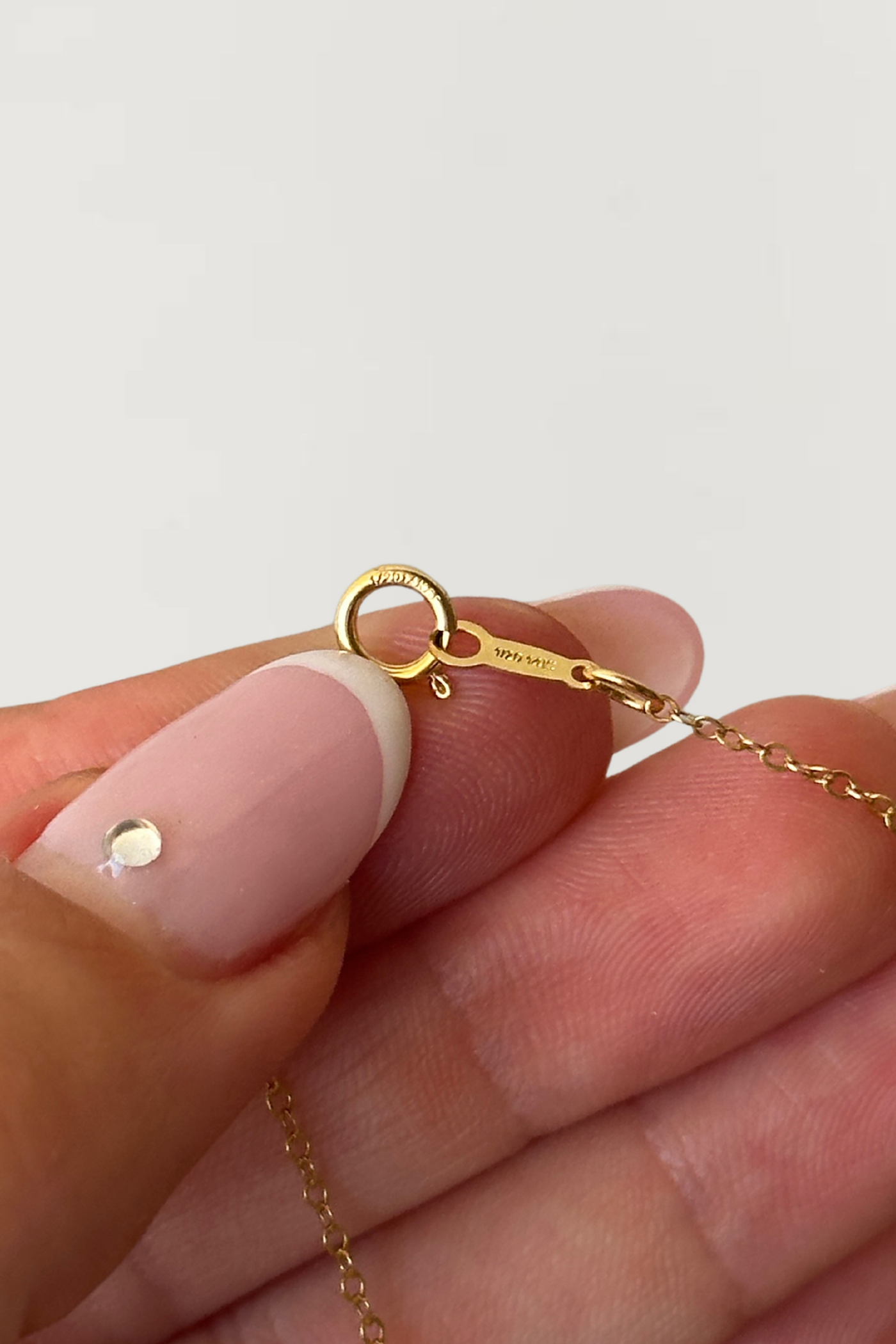 Mini Dolphin Necklace