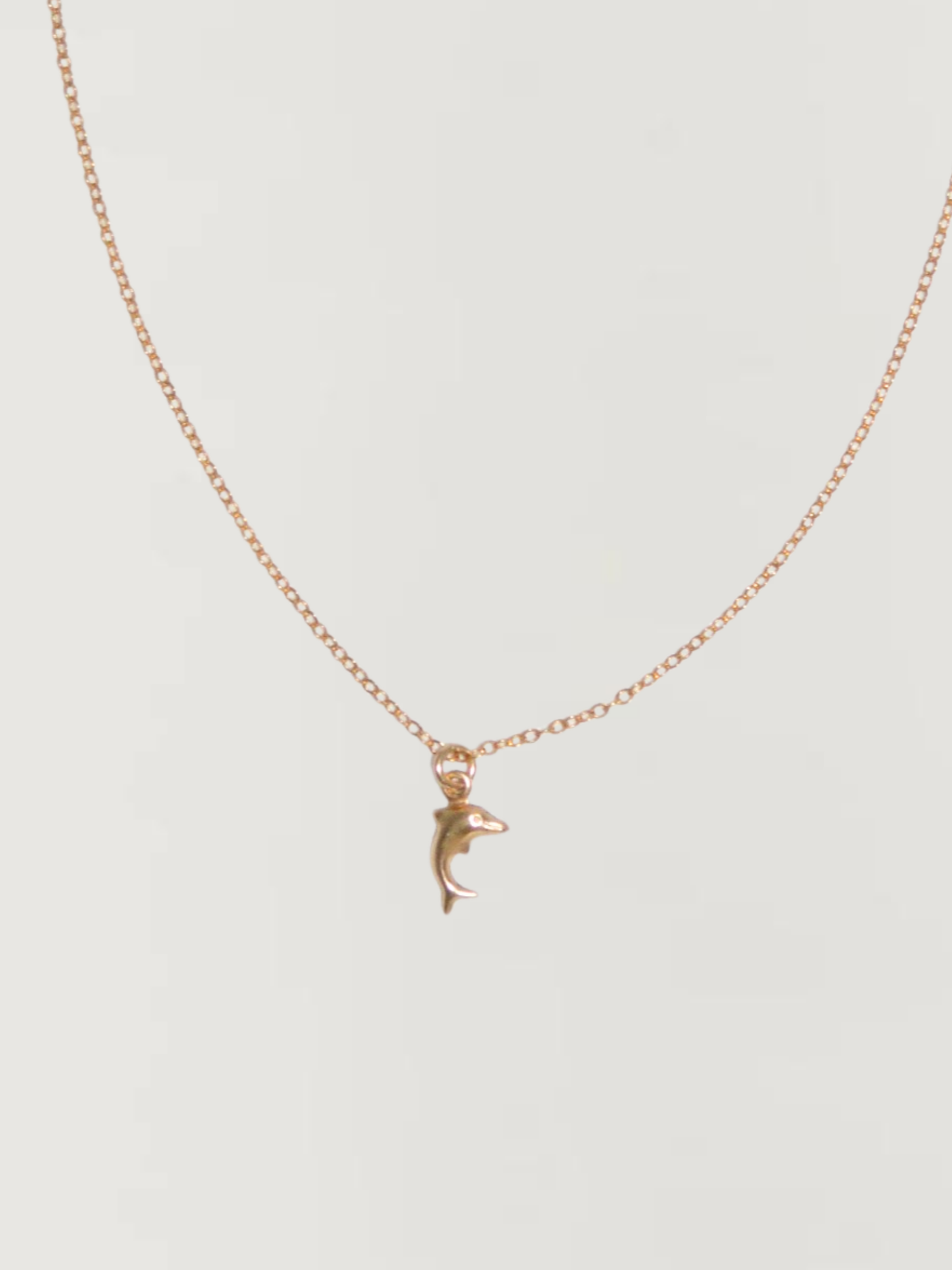 Mini Dolphin Necklace
