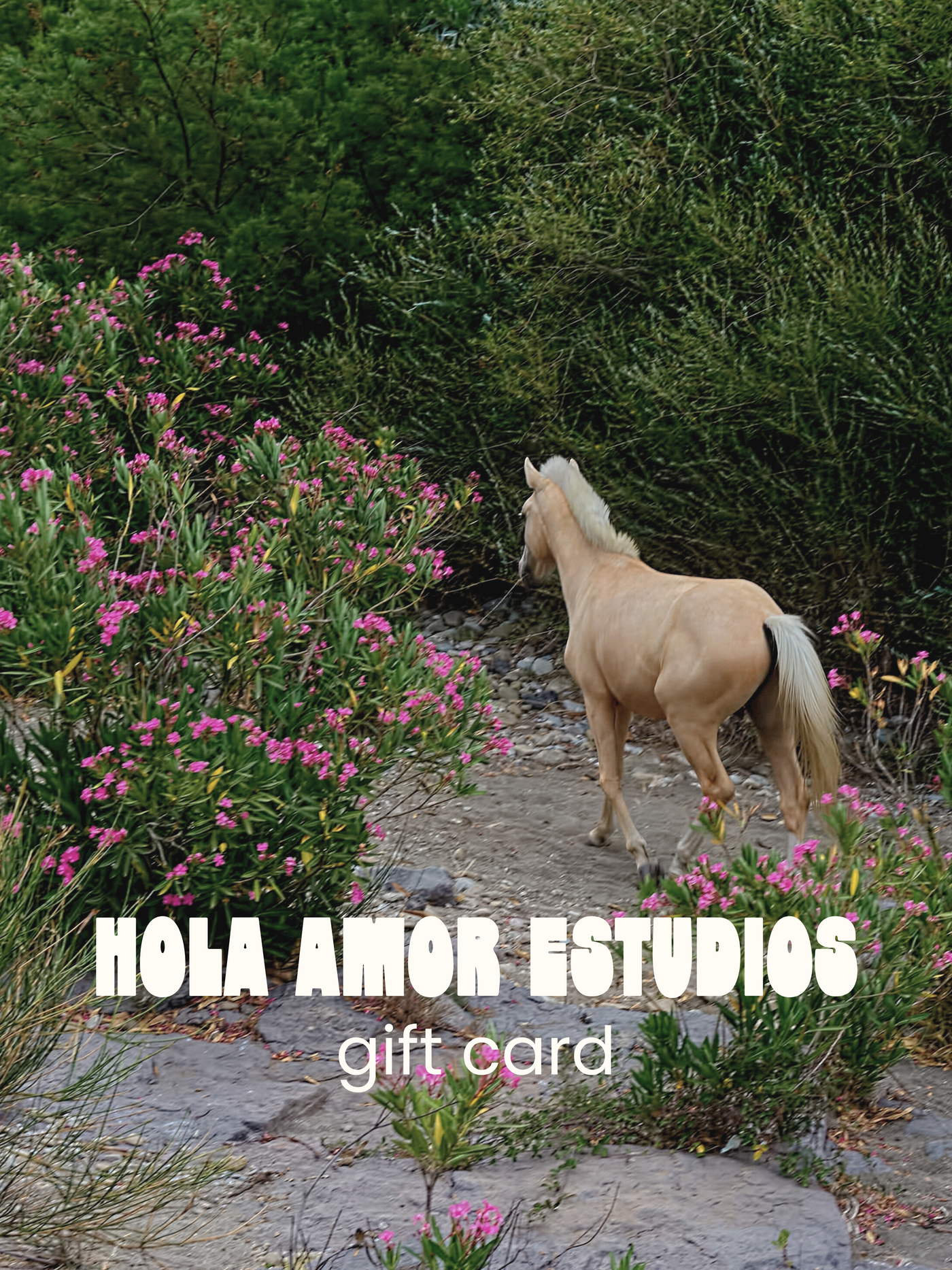 Hola Amor Gift Card